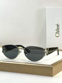 Picture of Chloe Sunglasses _SKUfw76161151fw